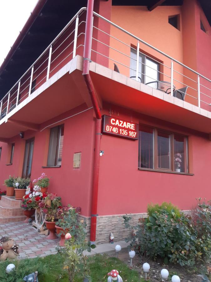 Vila Georgeta Zarnesti Exterior photo